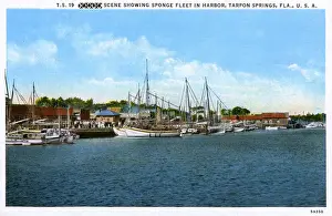 Sponge Fleet in Harbour - Tarpon Springs, Florida, USA