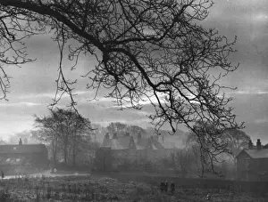 Spooky Evening Scene