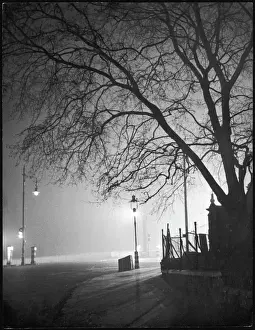 Phenomena Prints: Spooky Night Scene