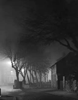 Spooky Prints: Spooky Trees