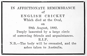 Loss Gallery: Sport / Cricket / Ashes