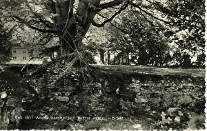 The Spot where King Harold Fell, Battle Abbey, Sussex