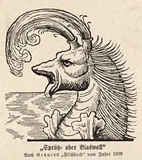 Mane Prints: Spouting Sea Monster