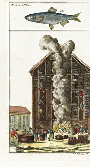 Encyclopedia Prints: Sprat, and herring being hung in a smokehouse, 18th century