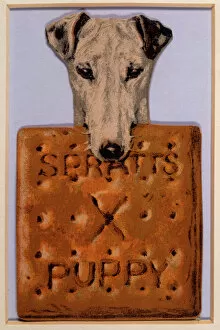 Puppy Collection: Spratts Dog Biscuits Ad