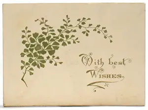 Spray of green leaves on a Christmas card