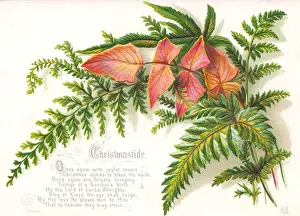 Devotional Prints: Spray of green and orange leaves on a Christmas card