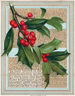 Sprig Prints: Spray of holly on a New Year card