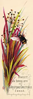 Spray of leaves and a bee on a Christmas card