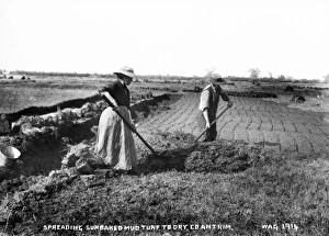 Spreading Gallery: Spreading Sunbaked Mud Turf to Dry, Co. Antrim