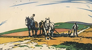 Arable Gallery: Spring by Adrian Hill