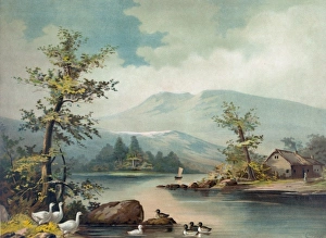 Spring Gallery: Spring on the Androscogan