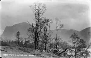 Spring in Buttermere