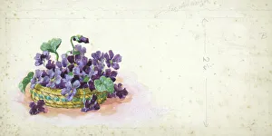 Spring Flowers