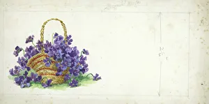 Spring Flowers