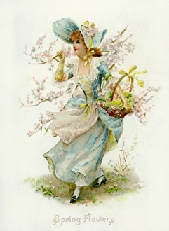 Spring Gallery: Spring Flowers