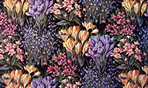 Images Dated 31st August 2012: Spring flowers