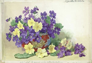 Arrangement Collection: Spring Flowers Flower arrangement Watercolour