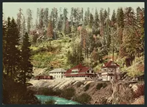 Spring House, Shasta Springs, Cal