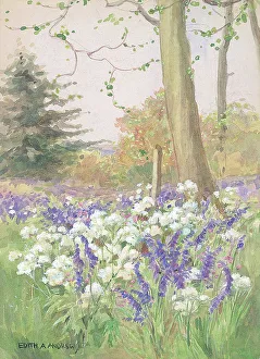 Andrews Gallery: Spring in the Meadow - Gardens