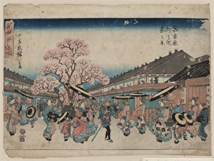 Japanese Spring Scene