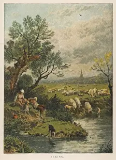 Sheep Dog Prints: Spring / Sheep / River 1881