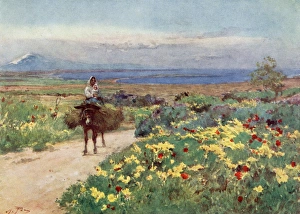 Oceans Gallery: Spring-time in Syracuse, Etna in the distance, Italy