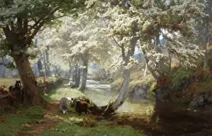 Spring in the Trossachs