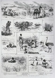 Digging Collection: Springbok Hunting, South Africa