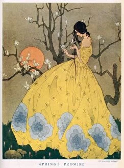 Images Dated 21st December 2010: Springs Promise, by Marjorie Miller