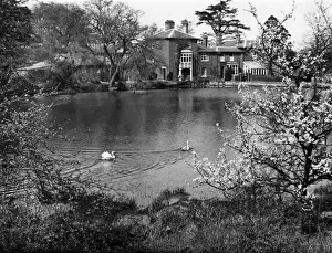 Distillery Prints: Springtime Pond