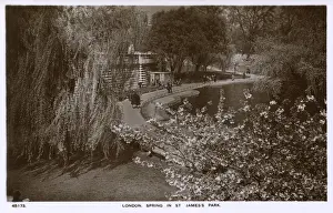 Springtime Prints: Springtime view of St Jamess Park, London