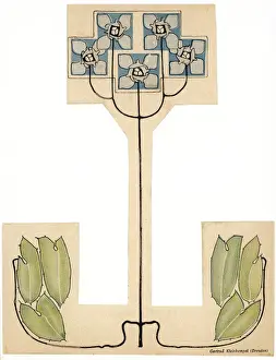 Square-Flowered Plant
