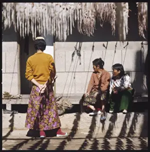 Squid Prints: Squid Drying in Sun 1976