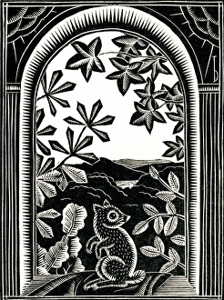 Arch Way Gallery: Squirrel