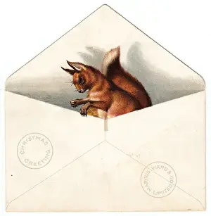 Squirrels Prints: Squirrel in an envelope on a Christmas card