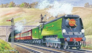 Alan Prints: An SR Merchant Navy Class locomotive with the Golden Arrow