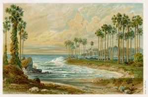 Sri Lanka/Coast Scene