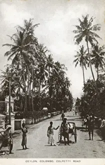 Rick Shaw Prints: Sri Lanka - Colpetty Road, Colombo