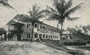 Confectionary Collection: Sri Lanka - An Early Chocolate Factory
