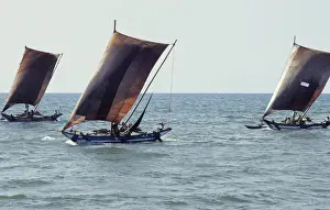 Tack Prints: Sri Lankan outrigger boats - 1