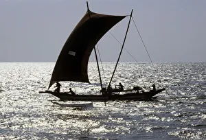 Sri Lankan outrigger boats - 4 Sri Lankan outrigger boats - 4
