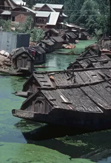 Afloat Gallery: Srinagar, Kashmir - floating houseboats