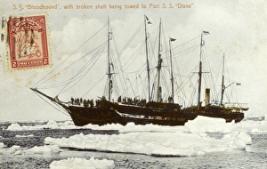 Images Dated 5th May 2011: SS Bloodhound towed to shore - Newfoundland