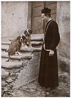St Bernard Rescuing