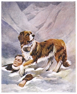 St Bernard Rescuing