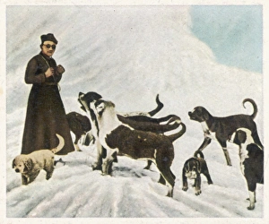 St Bernard Rescuing