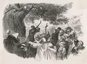 Bishop Collection: St Boniface / Sacred Oak