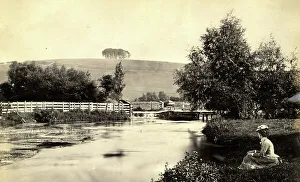 Catherines Prints: St Catherine's Hill, Winchester