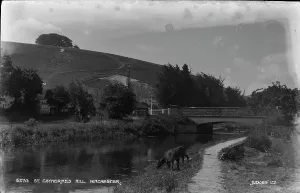 Catherines Prints: St. Catherine's Hill, Winchester